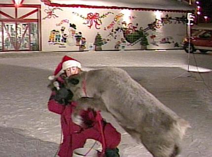 error displaying image