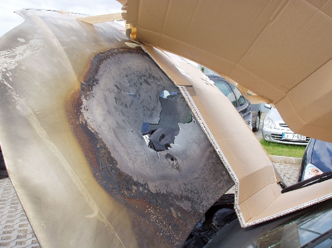 error displaying image