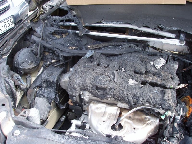 error displaying image